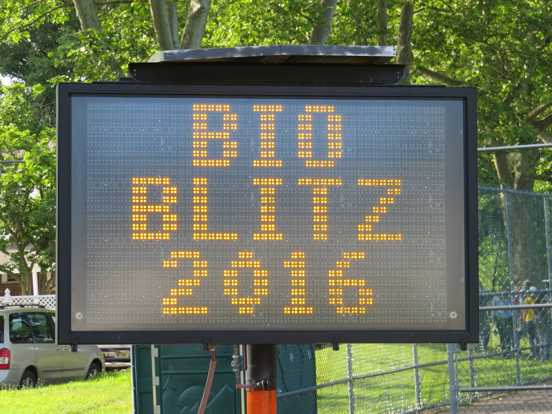 \"Bio-Blitz-2016-GWSzelc